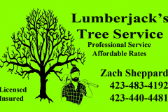 LumberjacksTreeService_BC_Front