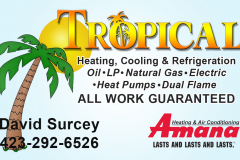 Tropical-Business-Card